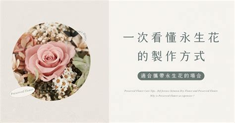 永生花禁忌|永生花是什麼？永生花的優缺點？你還在分辨不清永生。